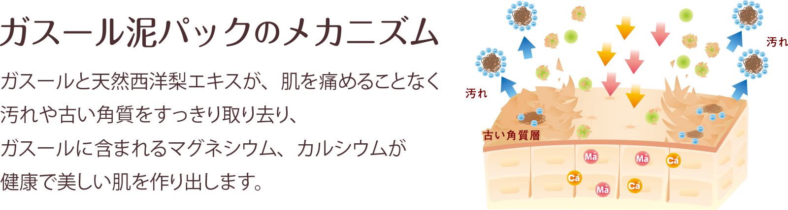 ガスール泥パックのメカニズム